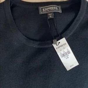 NWT Express Merino Wool Crew Neck Sweater